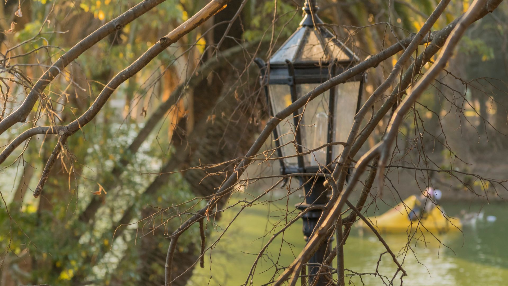 lampione antico in ferro battuto in giardino